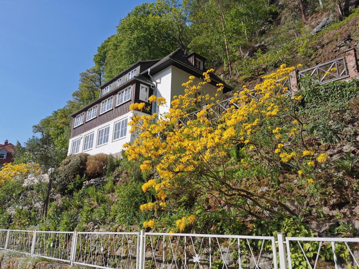 Villa Belvedere  Rathen Exteriör bild